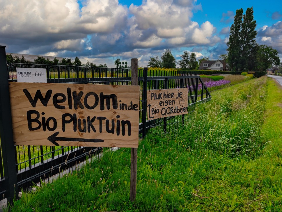 Pluktuin in bloei